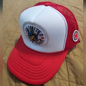 Red hot chili peppers unlimited love tour hat